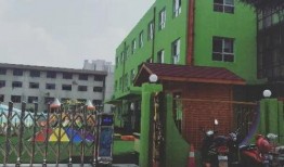 鸿埠园最新爆料消息视频,揭秘视频背后的惊人真相！