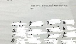 海丰爆料事件最新消息,最新进展与焦点追踪