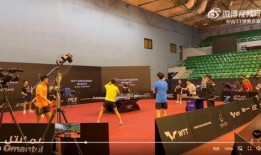 国乒男队爆料视频最新,揭秘最新爆料视频背后的故事与真相