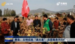 费县爆料新闻事件最新,真相揭秘，多方关注！