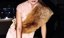 深圳福田孙小姐最新爆料,揭秘孙小姐惊人内幕！