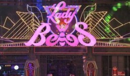 蜜蜂少女队爆料最新视频,青春活力与梦想闪耀