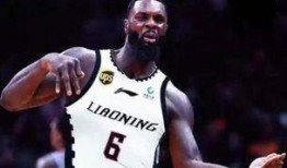 辽篮史蒂芬森最新爆料,揭秘场下生活与赛场表现背后的故事