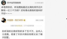 卓伟最新爆料鹿晗私会,卓伟独家爆料真相揭晓