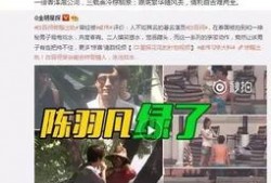 王雁林最新爆料视频播放,事件真相再引热议