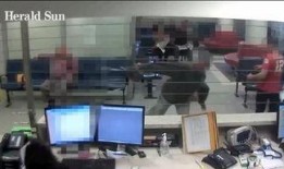 墨尔本医生最新爆料视频