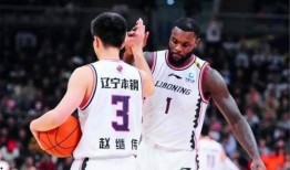 辽篮史蒂芬森最新爆料,揭秘场下生活与赛场表现背后的故事