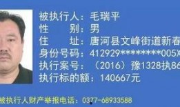 海南老赖爆料案件最新,惊天大案背后的人间冷暖与法治较量