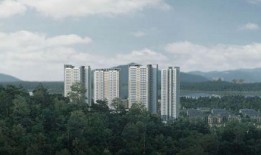 最新深圳爆料,揭秘城市热点事件背后的真相