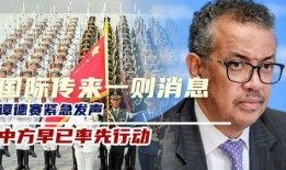 谭德赛最新爆料,揭秘疫情背后的惊人真相！”