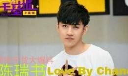 最新爆料大鲜肉视频大全,最新爆料，带你领略网络红人的魅力瞬间