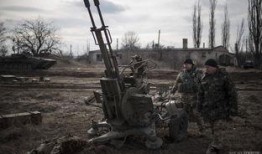 张大炮最新爆料新闻直播,最新爆料新闻背后的真相