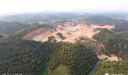 浦北同城网最新爆料电话,最新电话事件引发热议