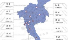 东莞大湾区爆料事件最新