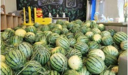 最新爆料热瓜速吃,热瓜速吃，揭秘娱乐圈惊天秘密！