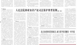 山东最新爆料新闻报道内容,揭秘XX事件背后真相