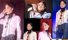 最新王菲爆料视频播放,独家幕后故事大公开