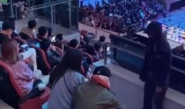 王思聪最新动态爆料