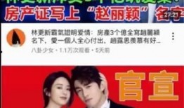 港媒最新爆料新闻,惊天大案背后惊人内幕揭露