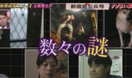 杭州纵火案最新爆料,细节披露，真相渐明