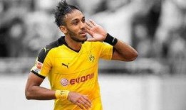 老董足球大爆料最新消息,独家揭秘最新赛事内幕与幕后故事