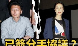 最新王菲爆料视频播放,独家幕后故事大公开