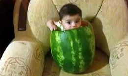 最新七夕吃瓜爆料图片视频,独家吃瓜爆料，明星情侣甜蜜互动大揭秘！