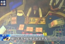 迪拜爆料网赌案件最新,揭秘跨国赌博犯罪网络