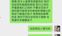 小猪先生最新视频爆料,最新视频爆料背后的惊人真相