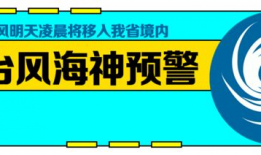 奶砖爆料视频大全最新,揭秘娱乐圈幕后真相