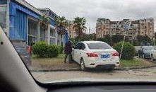 无德司机最新爆料视频,行车记录仪揭露惊人真相