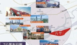 大曲线直播爆料最新消息,揭秘行业动态，洞察未来趋势