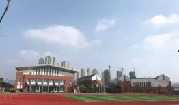 博才拓维最新爆料,揭秘行业变革背后的关键动态