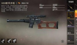 和平精英最新枪皮肤爆料2024