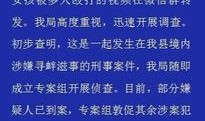 公安爆料霸凌案件最新进展,公安深入调查校园霸凌案件，案情进展引发社会关注”