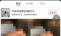 大乐透爆料大师最新预测