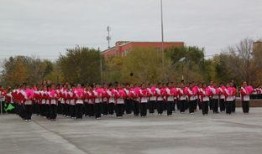 新湖总场爆料最新消息今天,今日热点事件深度解析