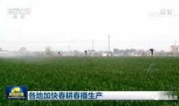 永年区最新爆料新闻