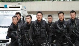 香港警队最新爆料,揭秘黑帮势力与犯罪网络内幕