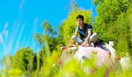 曾舜晞爆料最新动态视频,揭秘幕后故事与精彩瞬间