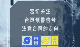 最新台风爆料消息今天新闻,揭秘今日新闻焦点！”