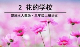 中花校园最新版爆料,揭秘校园风云与青春故事